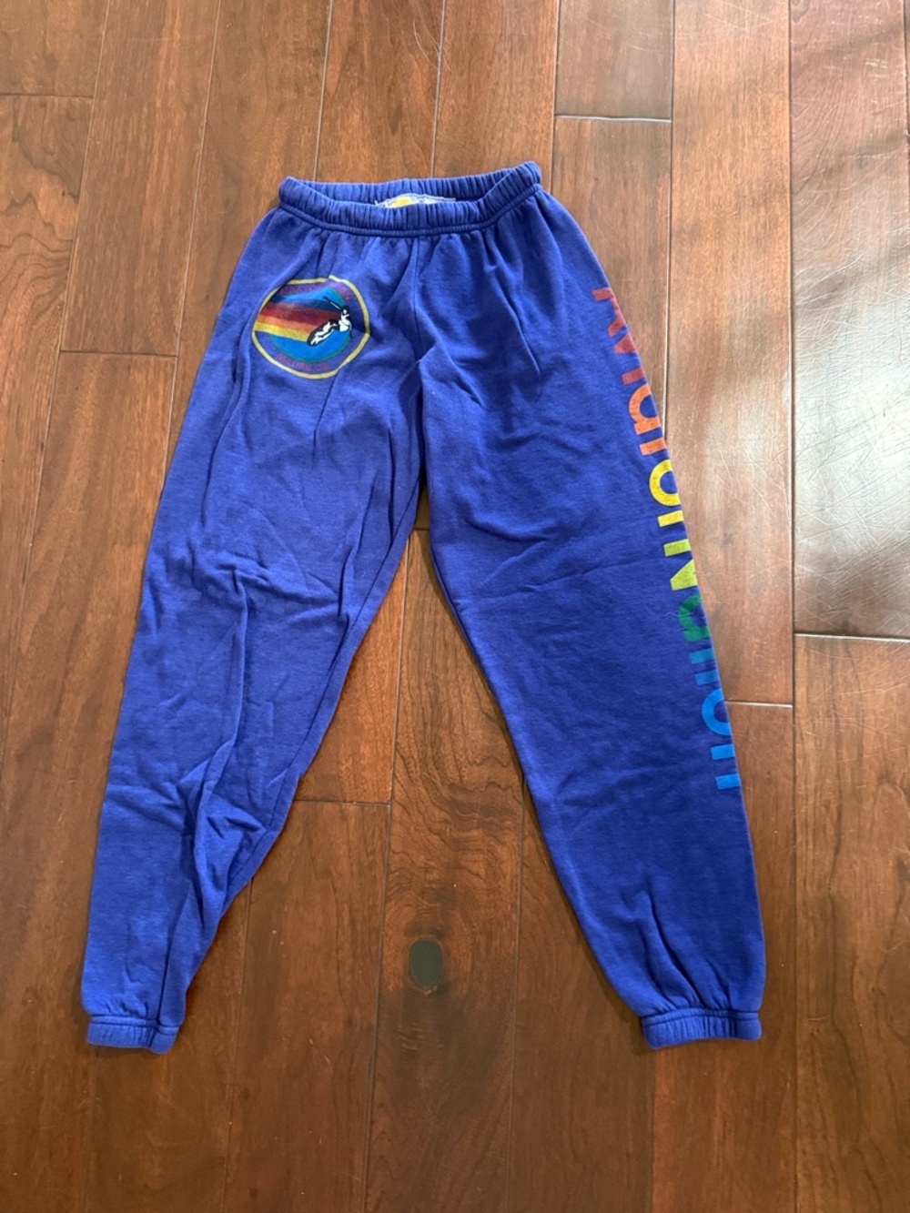 Small Aviator Nation purple sweatpants w/ A.N. emblem on front and down pant-leg